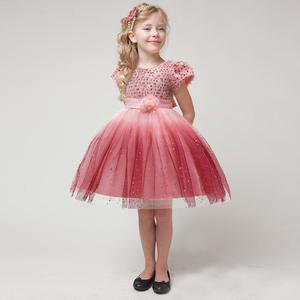 Girls: Kids Princess Mesh Party Dress