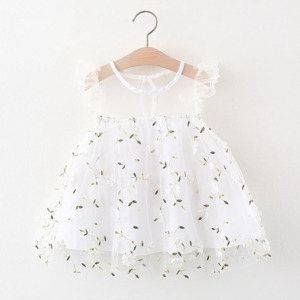 Toddler Girl Floral Print Embroidered Mesh Party Dress