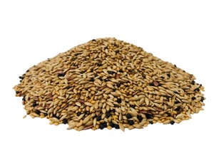 CANARY MIX - Yardlands
