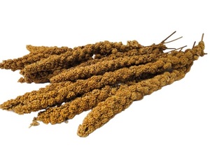 Products: MILLET SPRAY - Yardlands