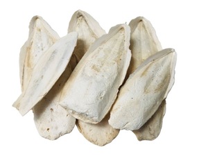 Products: CUTTLEFISH - Yardlands