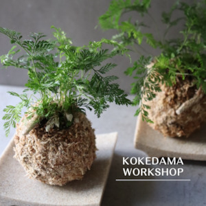 Workshop: KOKEDAMA WORKSHOP   24th August