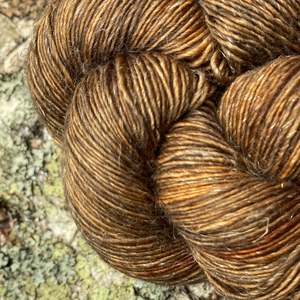 Fungus Forage: Pica ~ Merlin Fingering ~ Merino Linen singles