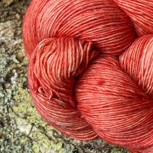 Mycelium ~ Merlin Fingering ~ Merino Linen singles