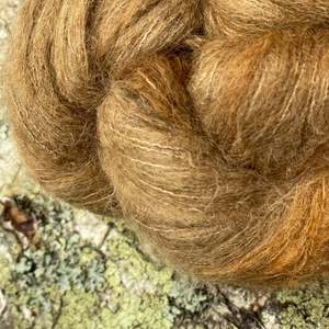 Fungus Forage: Pica ~ Aura ~ Suri Silk