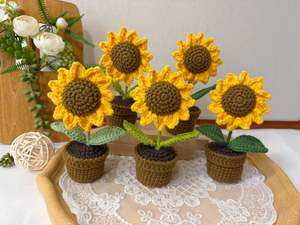 Potted Sunflower