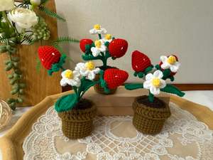 Crochet Floral Art: Strawberry Pot