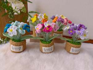 Plants: Potted Flowers