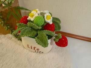 Plants: Potted Strawberries