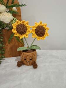 Crochet Floral Art: Happy Twin Sun Pot Decoration