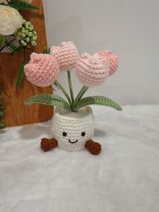 Happy Chubby Tulips Pot