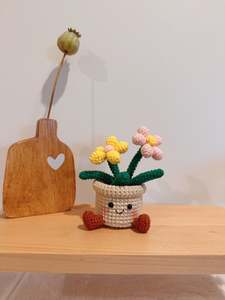Happy Flowers Pot