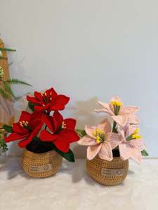 Poinsettia Christmas Flower Pot