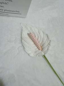 Peace Lily