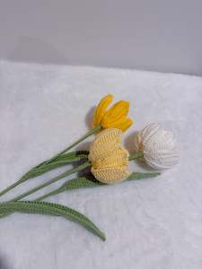 Tulip