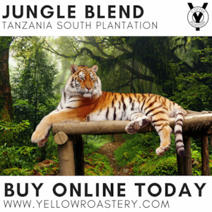 Tanzania Southern Highlands - The Yellow Roastery