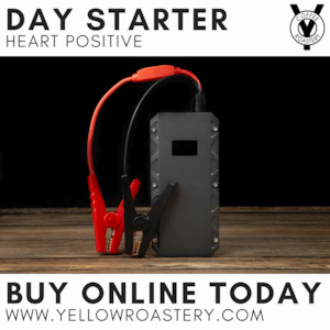 Products: The Day Starter - The Yellow Roastery