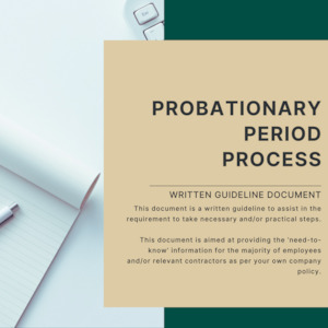 Probationary Period Process Guideline Yellowconsulting2023