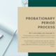 Probationary Period Process Guideline Yellowconsulting2023