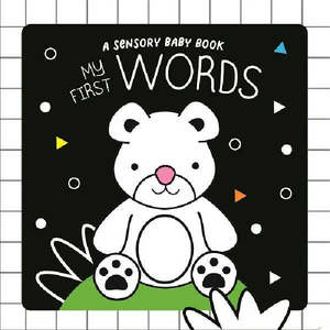 Books: A Sensory Baby Book - My First Words