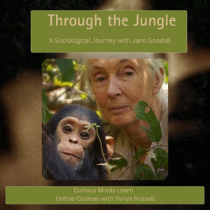 Through the Jungle — A Sociological Journey with Jane Goodall