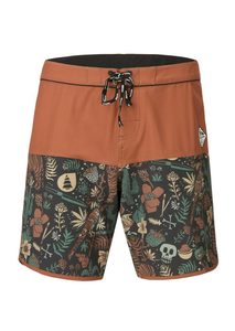 All Mens: Andy 17 Boardshorts