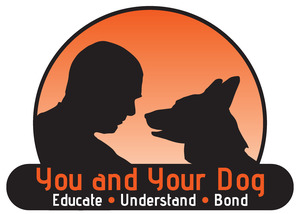 K9 Come Back 1 x session workshop Saturday 22/10 @ 5 PM Collingwood Area School &hellip;