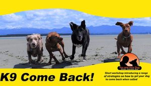 K9-Come Back One-session Workshop Saturday 6th December @ 9.00-10.45 AM RICHMOND