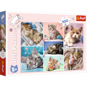Junior Puzzles: Trefl "100" - In the cat world