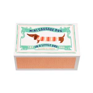 Mini Sausage Dog In A Little Box