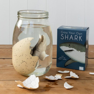 Shark Giant Hatching Egg