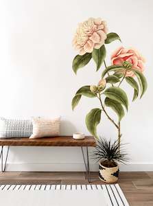 Botanical Illustrations: Palmers Double Sasanqua Wall Decal