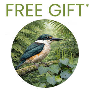 Mural Dots: FREE Kōtare Still Forest Promo