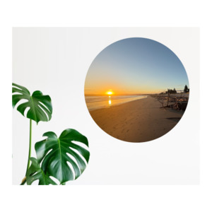 All: Custom Design Mural Dot