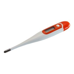 Products: Thermometer - Digital