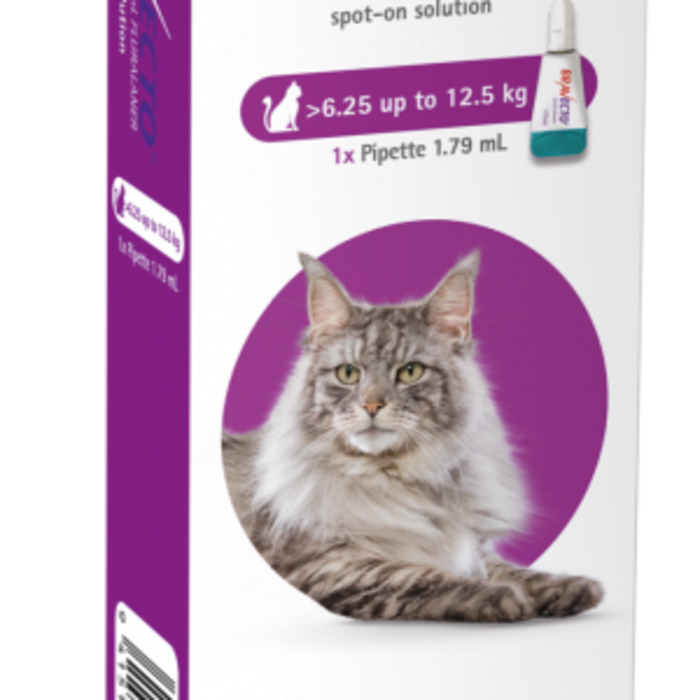 Products: Bravecto Cat - 6.25-12.5kg