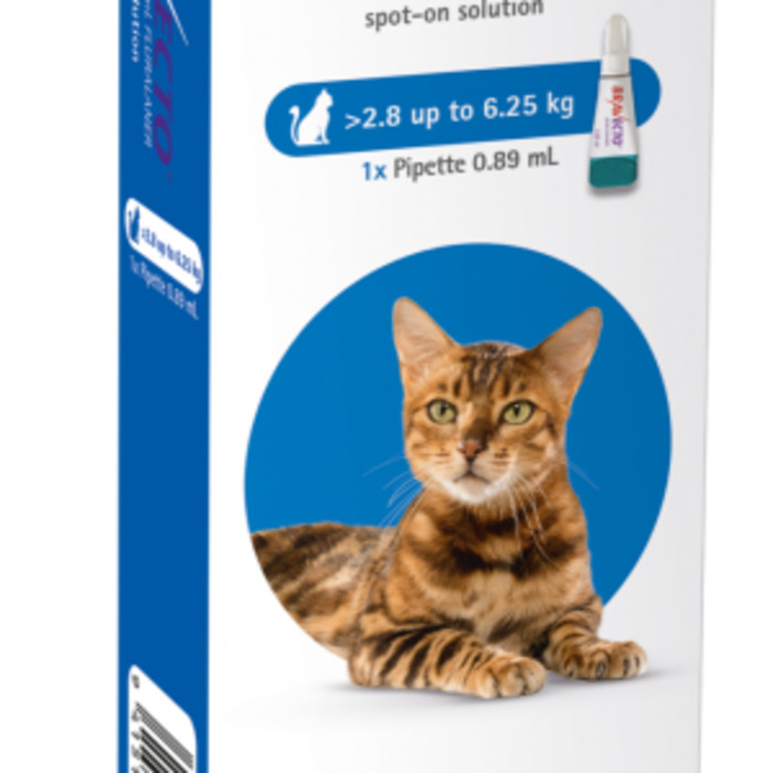 Products: Bravecto Cat - 2.8-6.25kg