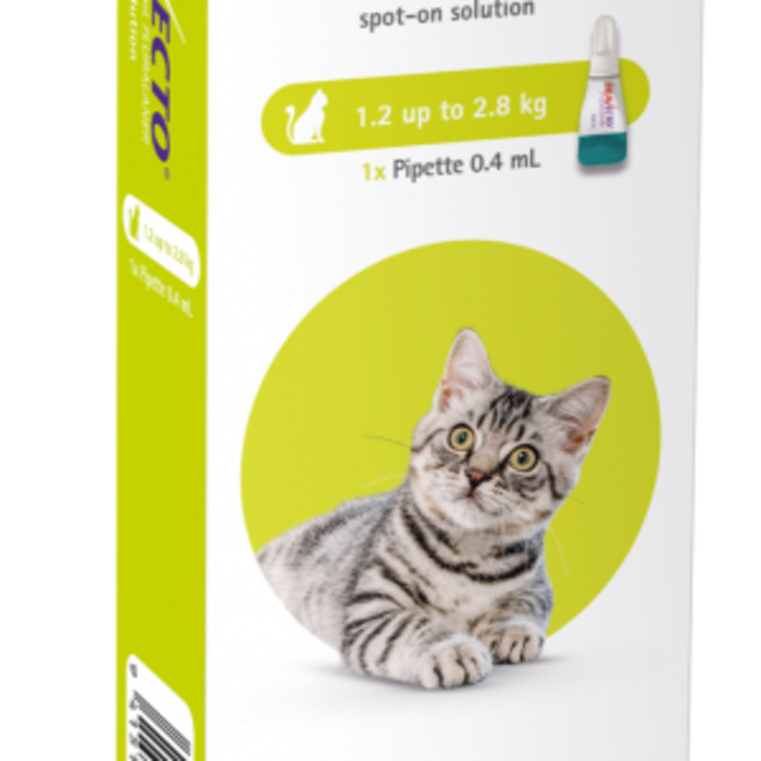 Bravecto Cat - 1.2-2.8kg