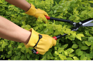 Short Leather Pruner Gloves