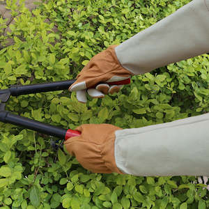 Gloves: Leather Pruner Gloves Gardening Gloves (For Lady Use)