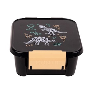 Dinosaur Land Leakproof Bento Style Kids Snack Box - 2 Compartment