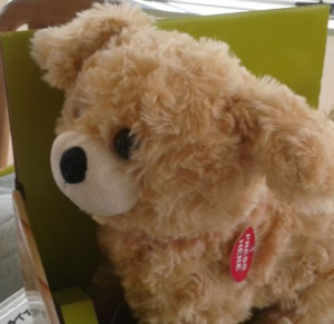 Products: Puppy switch-adapted toy - Zabonne
