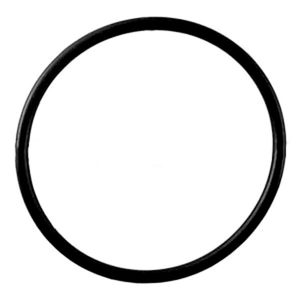O-Ring for Ametek Heavy Duty Housing with 3/4 inch Ports Zdirect