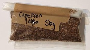 Products: Cameroon Pepper 50g – Zeezart Foods