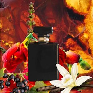 Si (type) Fragrance Oil » Zen Aroma