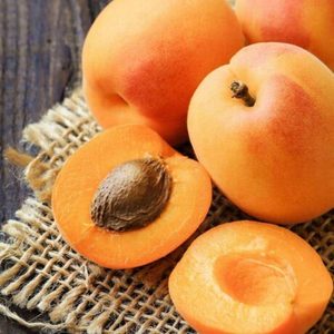 Apricot Fragrance Oil » Zen Aroma