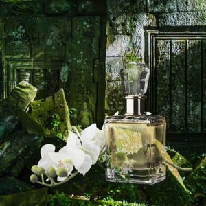 Products: Aventus (type) Fragrance Oil » Zen Aroma