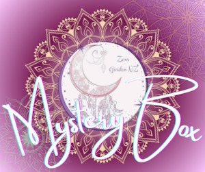 Intuitive Mystery Box