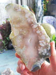 🌸Cherry Blossom Slice #9