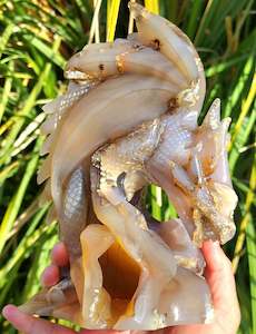 Clearance: Massive Golden Moss Dragon